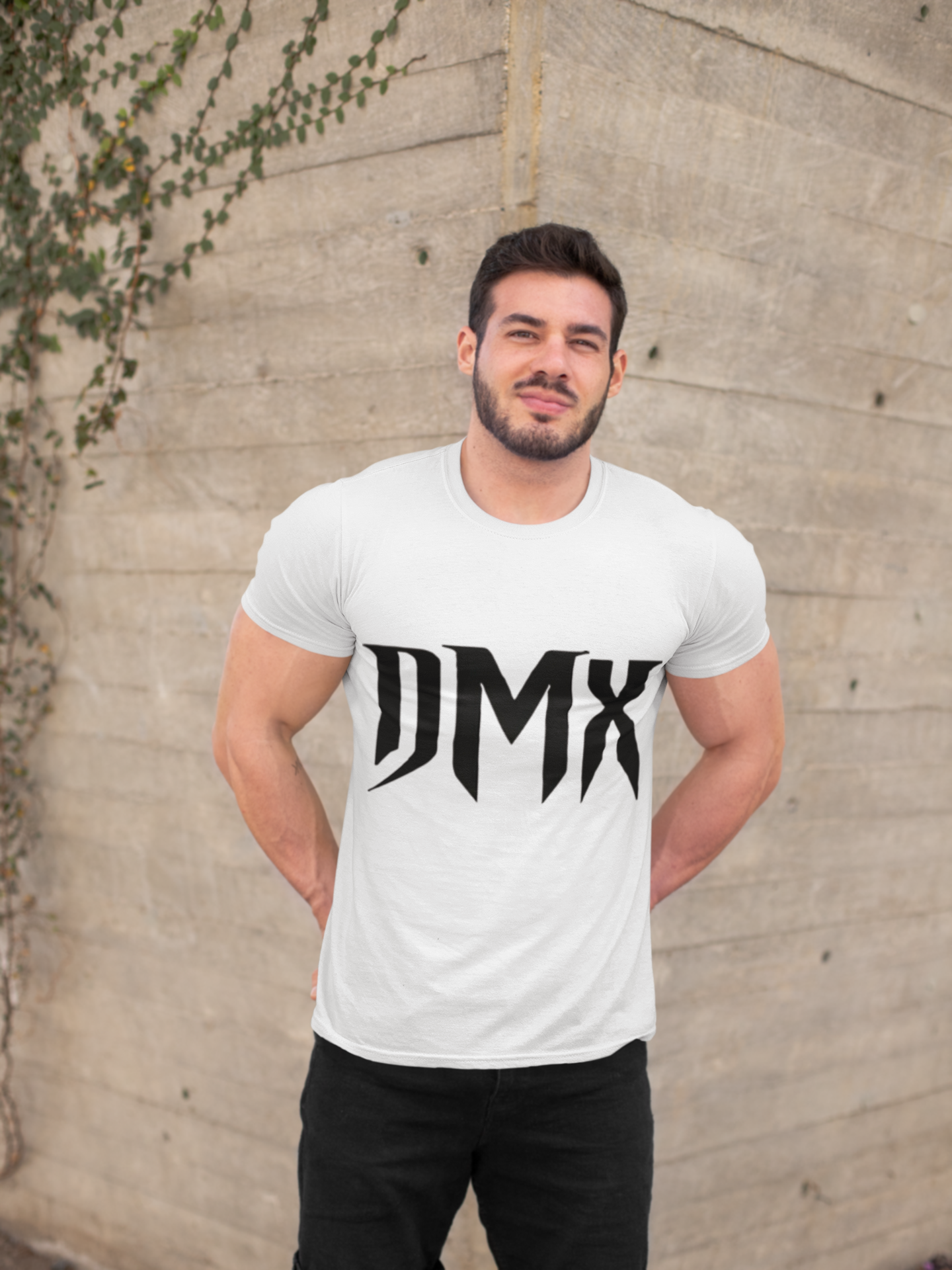 dmx-graphic-tribute-tee
