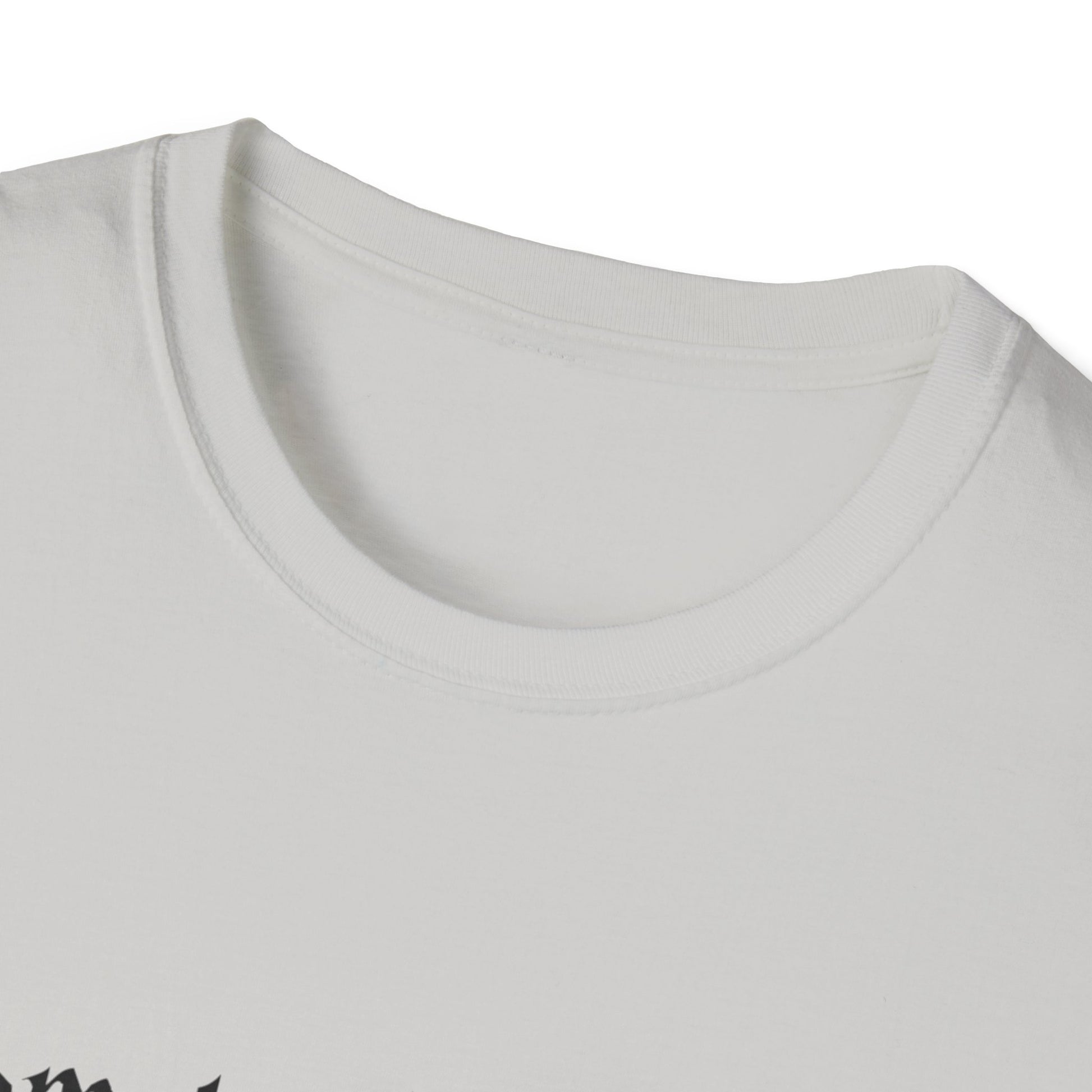 Harry Potter Inspired Unisex Softstyle T-Shirt - 'Solemnly Swear That I Am Up to No Good' - Rhythm & Drip