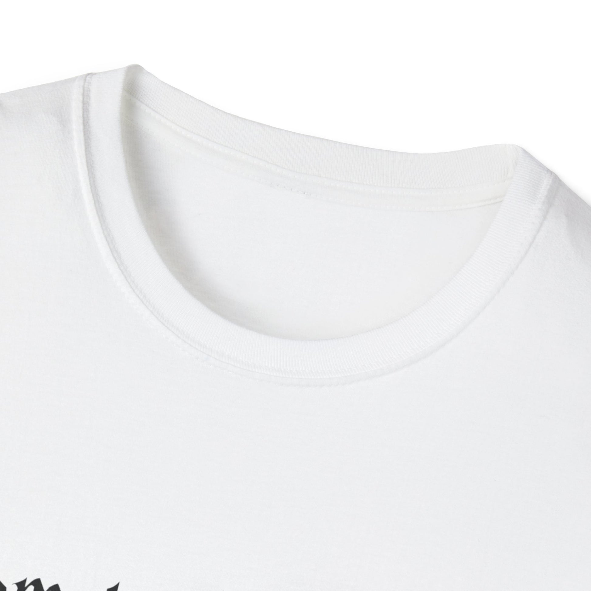 Harry Potter Inspired Unisex Softstyle T-Shirt - 'Solemnly Swear That I Am Up to No Good' - Rhythm & Drip