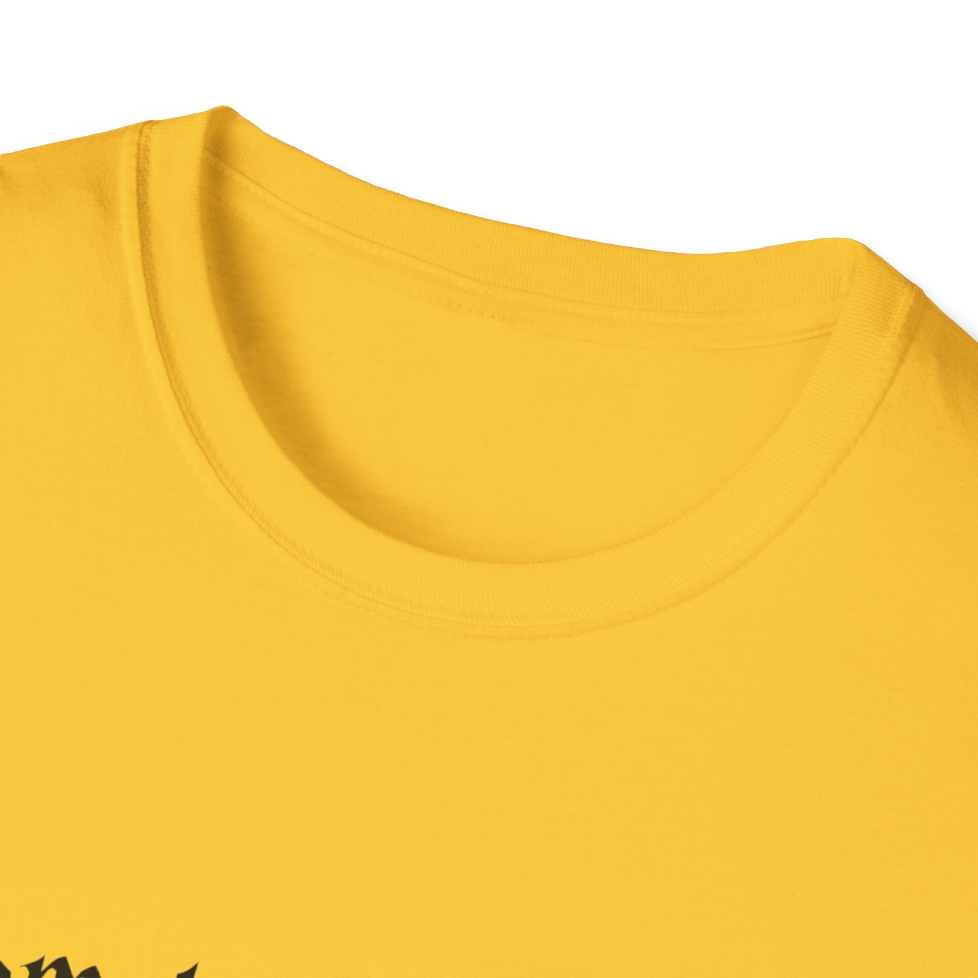 Harry Potter Inspired Unisex Softstyle T-Shirt - 'Solemnly Swear That I Am Up to No Good' - Rhythm & Drip