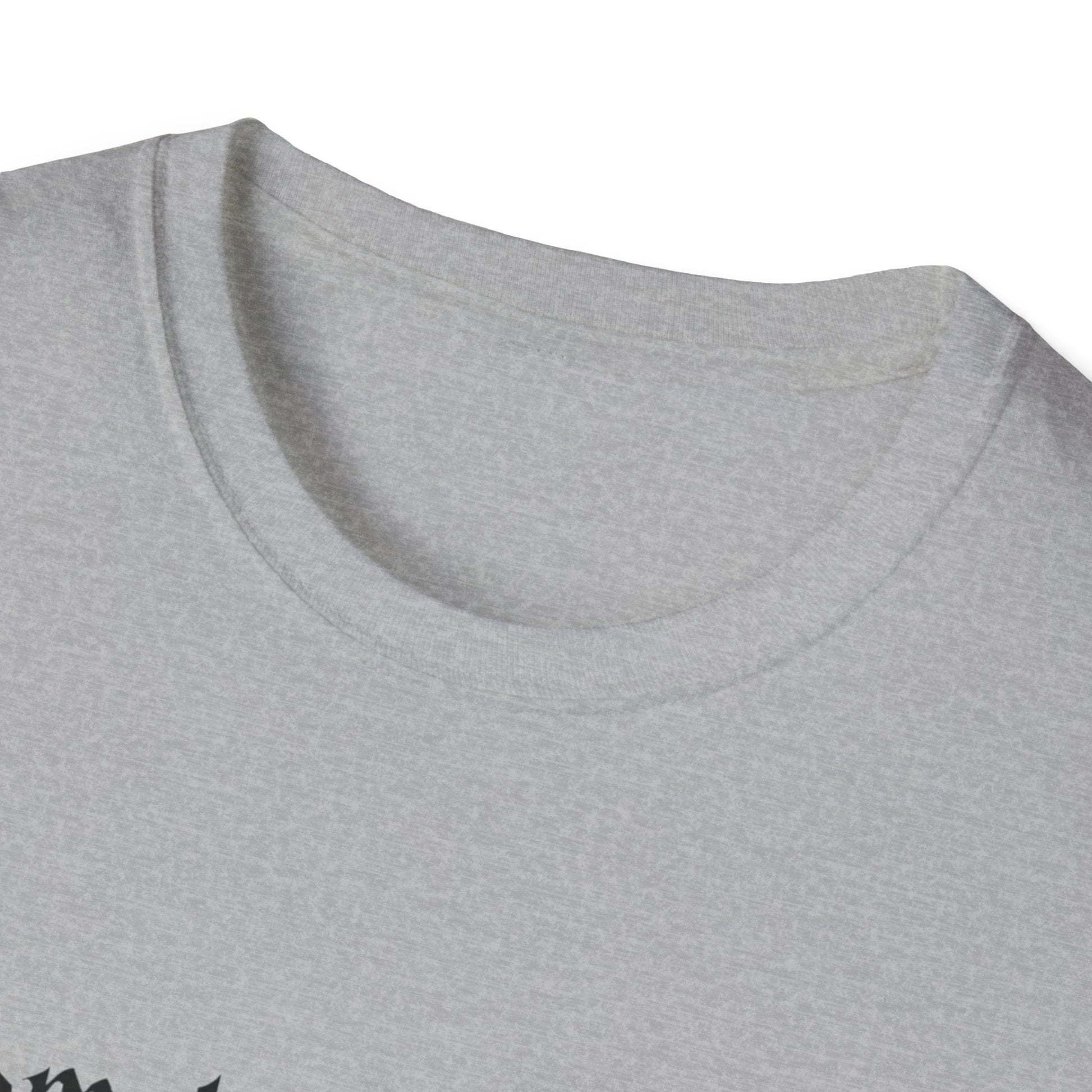 Harry Potter Inspired Unisex Softstyle T-Shirt - 'Solemnly Swear That I Am Up to No Good' - Rhythm & Drip