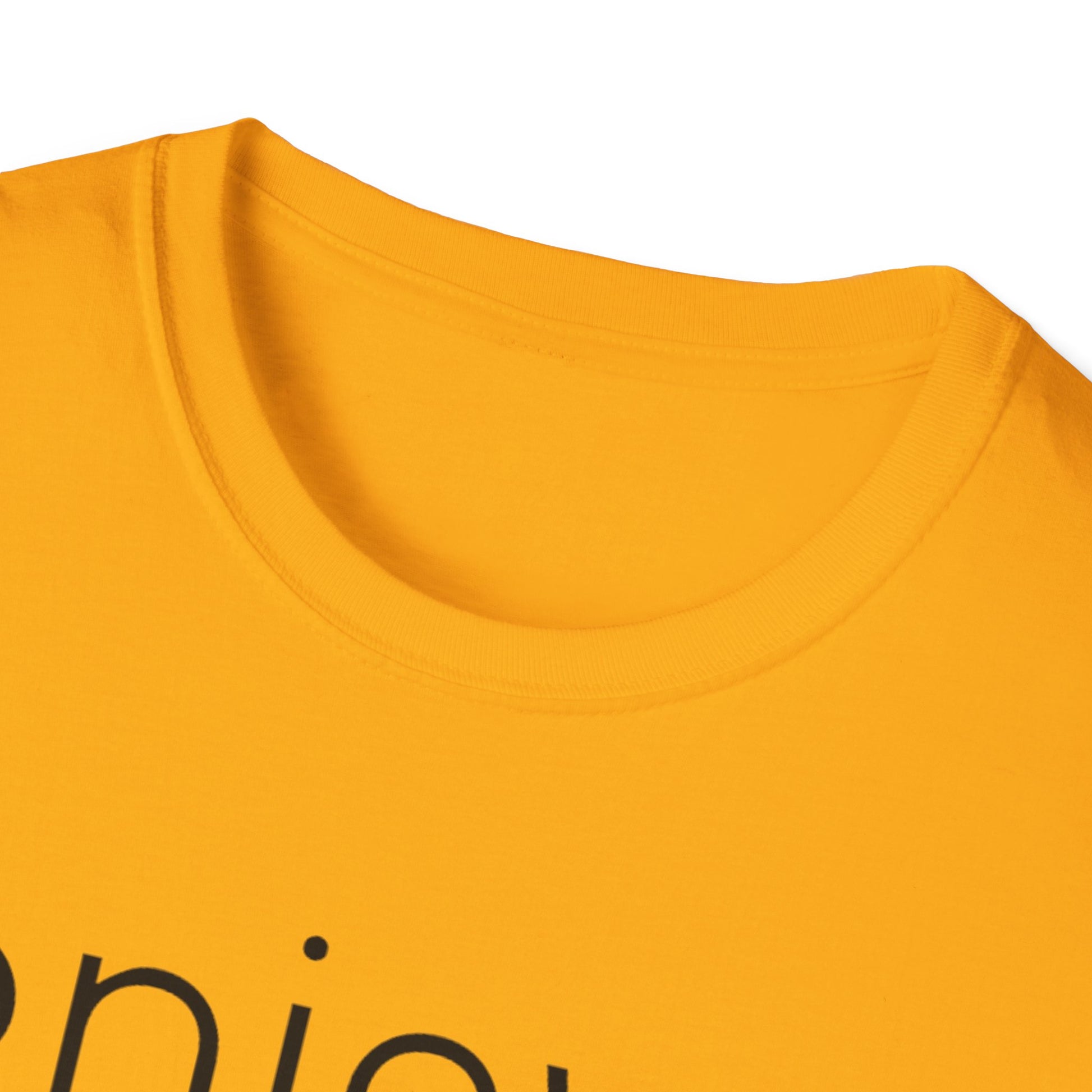Enjoy the Little Things T-Shirt | Unisex Softstyle Tee for Everyday Comfort - Rhythm & Drip