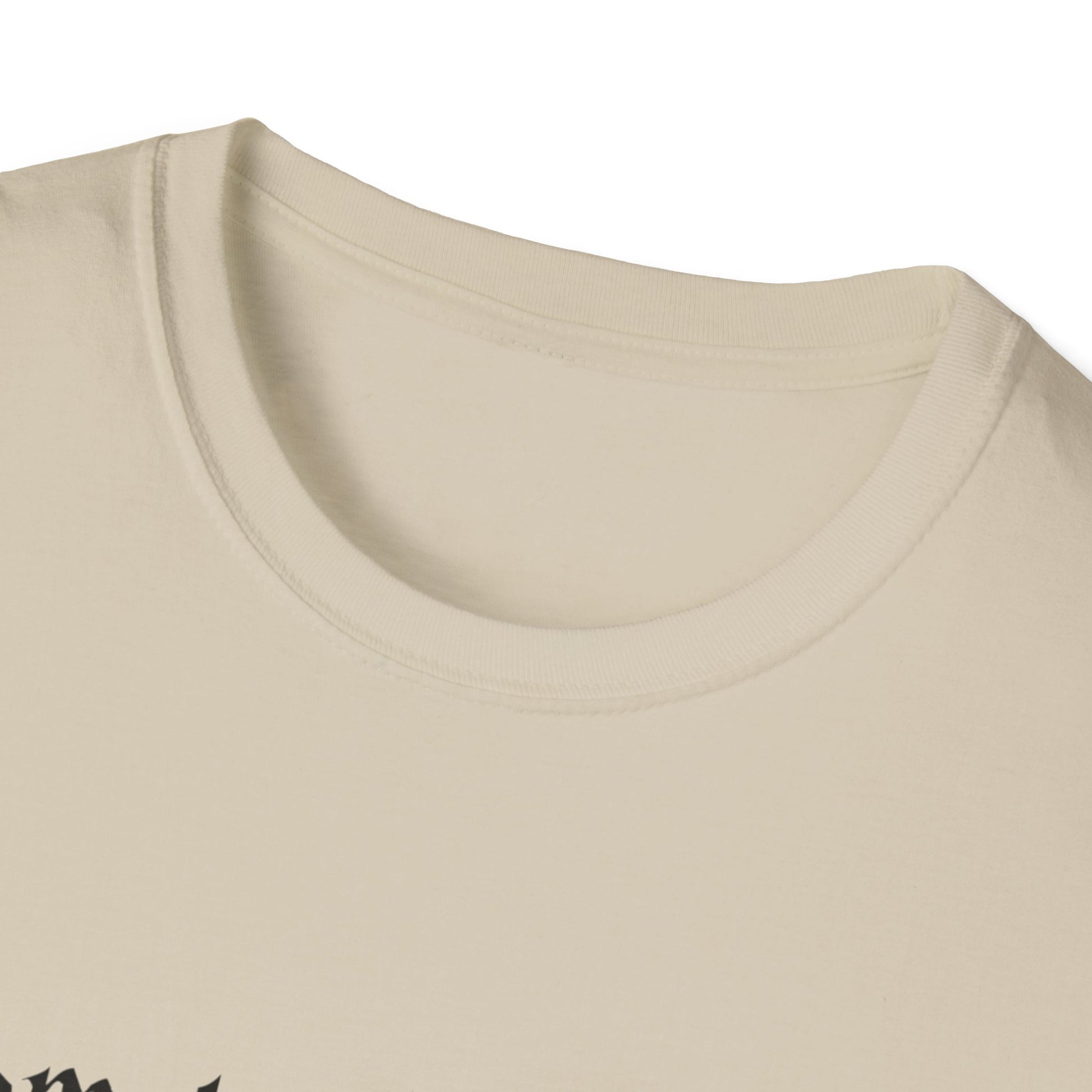 Harry Potter Inspired Unisex Softstyle T-Shirt - 'Solemnly Swear That I Am Up to No Good' - Rhythm & Drip